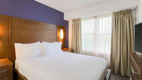 One-Bedroom Queen Suite with Sofa Bed