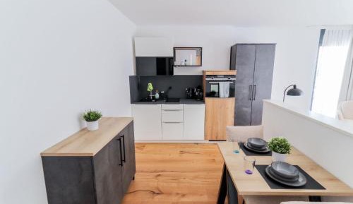 One-Bedroom Premier Apartment