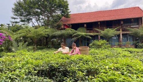 King Room with Garden View