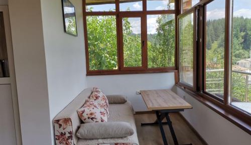 Studio with Mountain View