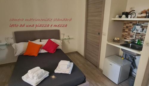 Standard Double Room