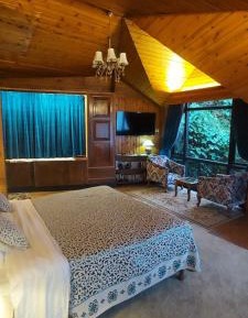 King Room with Mountain View
