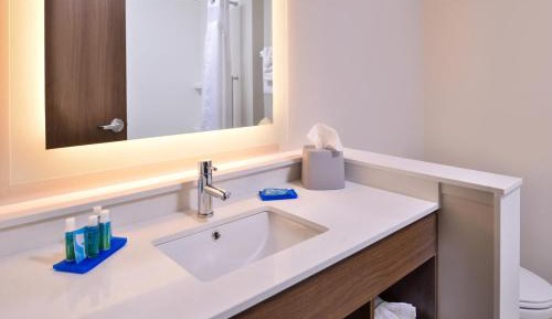 King Room - Disability Access Roll in Shower