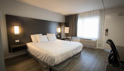 King Bed 19" Accessible, Non-Smoking (Pet-Friendly)