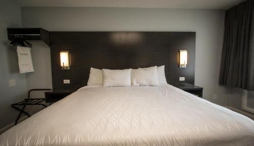 Eco Delight: King Bed, Non-Smoking