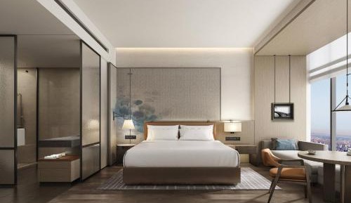 Deluxe King Room 