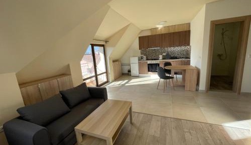 Studio with Mountain View