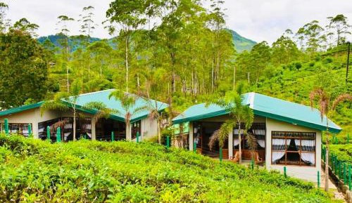 Superior Villa