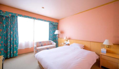 Standard Double Room - Non-Smoking
