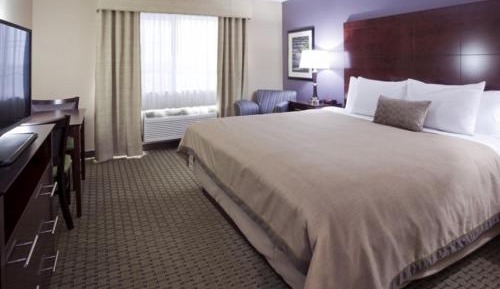 Standard King Room