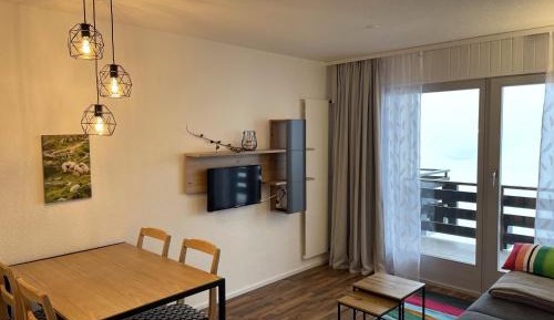 One-Bedroom Apartment V014