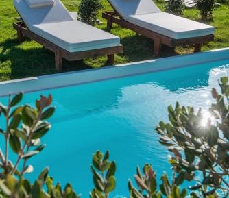 Double Room with Private Pool 