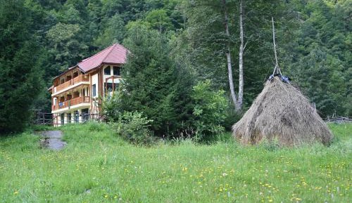 Two-Bedroom Apartment with Mountain View