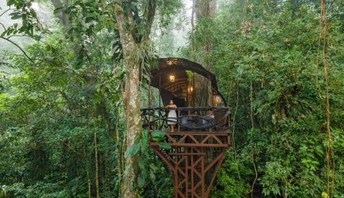 Tree House 2 Queen 