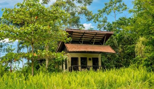 Bungalow