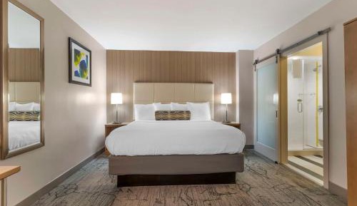 King Room with Sofa Bed