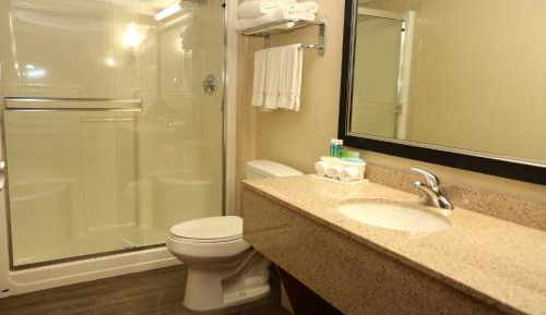 Junior King Suite