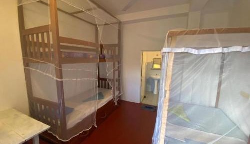 Single Bed in Mixed Dormitory Room