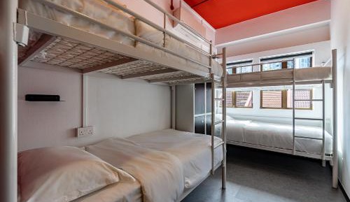 Single Bed in 4-Bed Dormitory Room