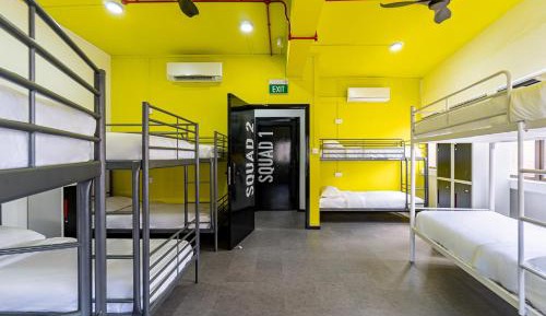 Single Bed in 10-Bed Dormitory Room