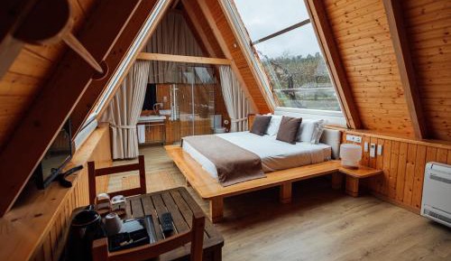 Double Room with Mountain View