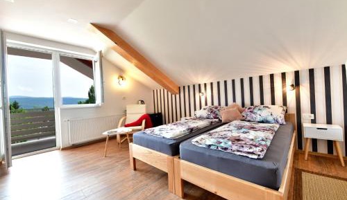 Deluxe Double or Twin Room with Mountain View