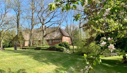 Seven-Bedroom Holiday Home