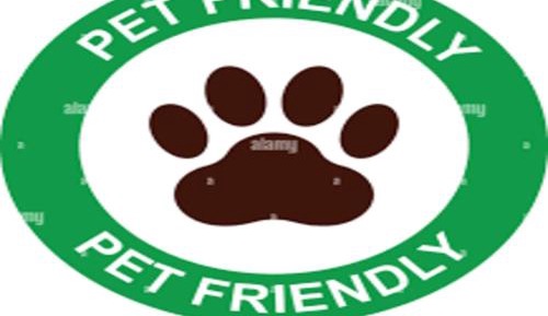 Budget Queen Room - Pet Friendly