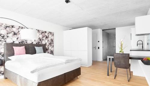 Superior Apartment
