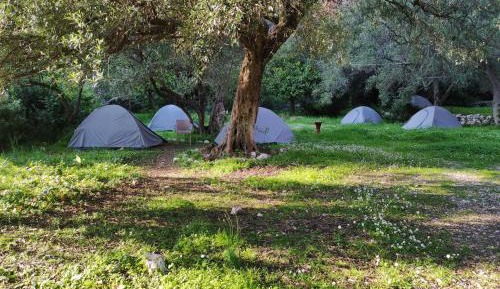 Tent