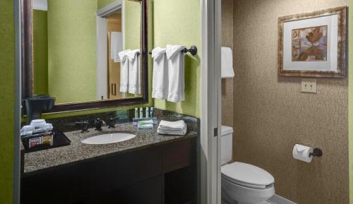 King Room - Mobility Access/Hearing Accessible