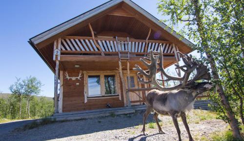 One-Bedroom Chalet