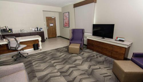 One-Bedroom King Suite with Sofa Bed