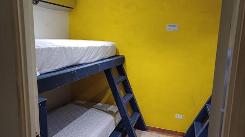 4-Bed Mixed Dormitory Room