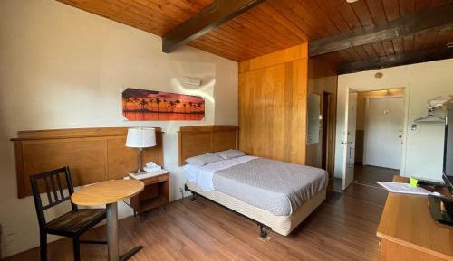 Budget Single Room