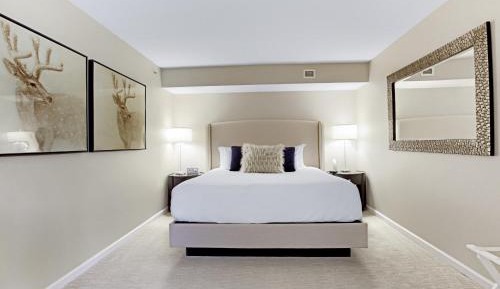 Deluxe Queen Suite