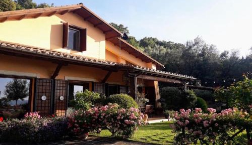 Holiday Home