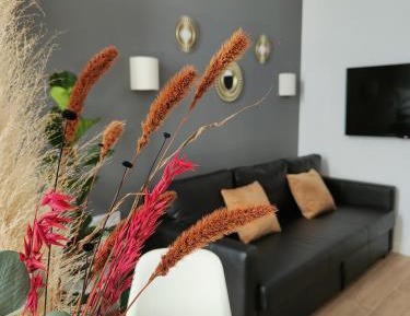 Superior One-Bedroom Apartment