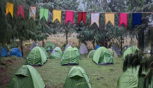Tent
