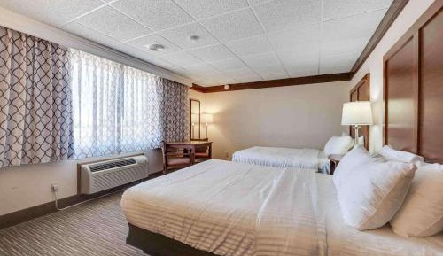 Double Room with Two Double Beds - Non-Smoking