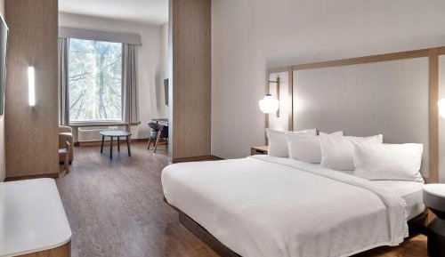 Suite, 1 King, Sofa bed