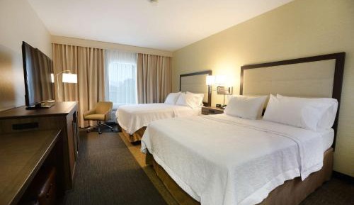 Queen Room with Two Queen Beds (4 Adults)