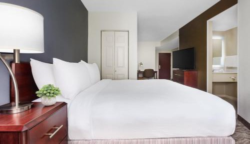 Executive Suite, 1 King, Sofa bed
