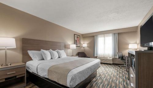 King Room - Non-Smoking