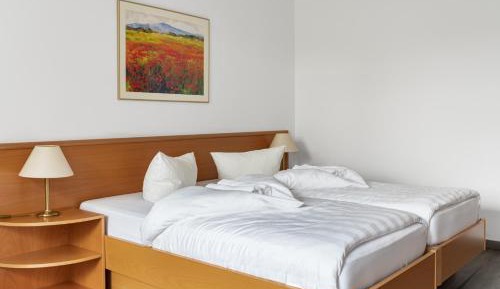 Double or Twin Room with Private Bathroom