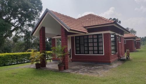 Twin Room with Balcony
