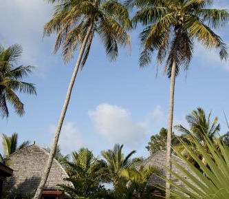 Tropical Bungalow