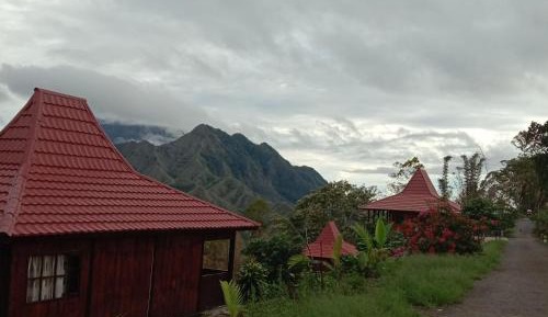 Deluxe Double or Twin Room with Mountain View