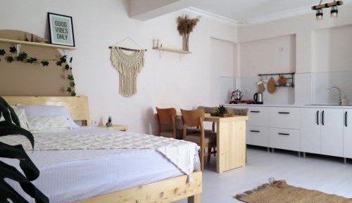 Studio with Sofa Bed
