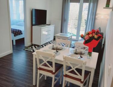 Apartment with Mountain View